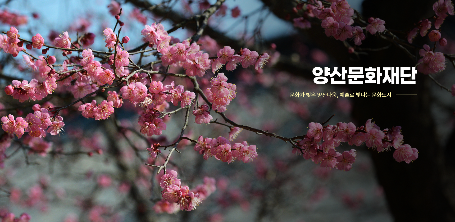 양산문화재단-문화가 빚은 양산다움, 예술로 빛나는 문화도시